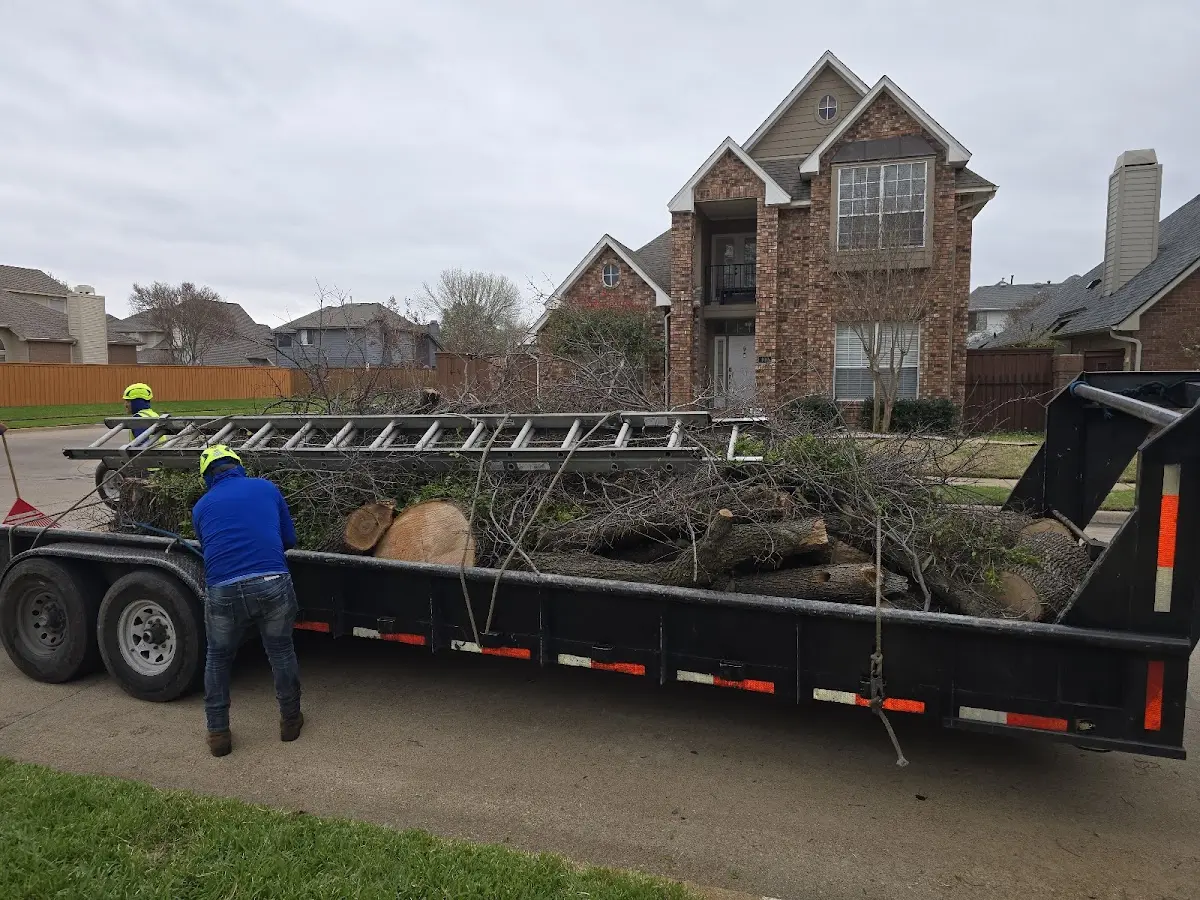 Expert Tree Removal with proper safety equipment in Grasonville